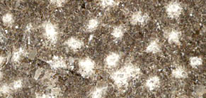 Finition Piqu&eacute;